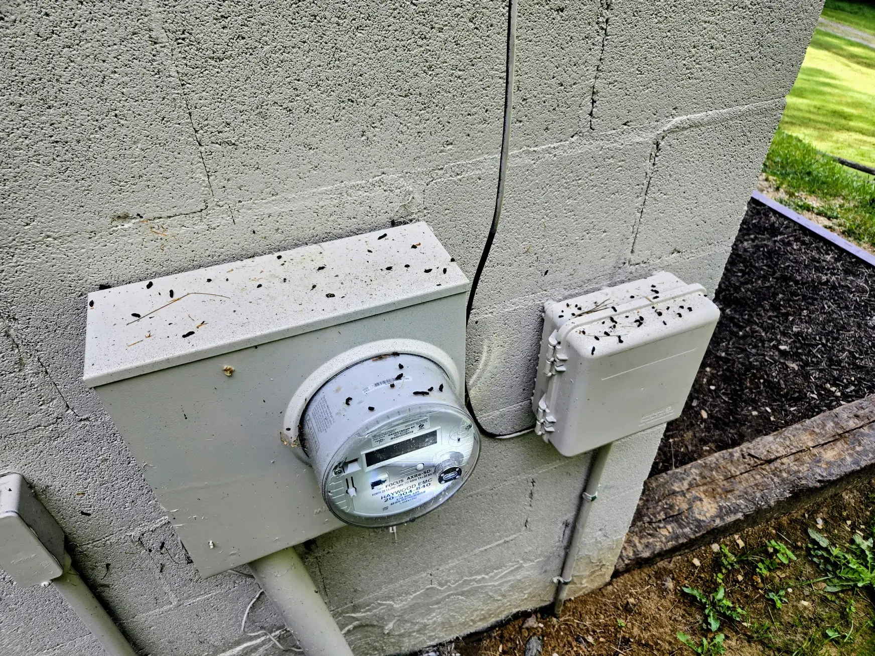 Bat guano droppings on top of an exterior utility meter below a roost entrance