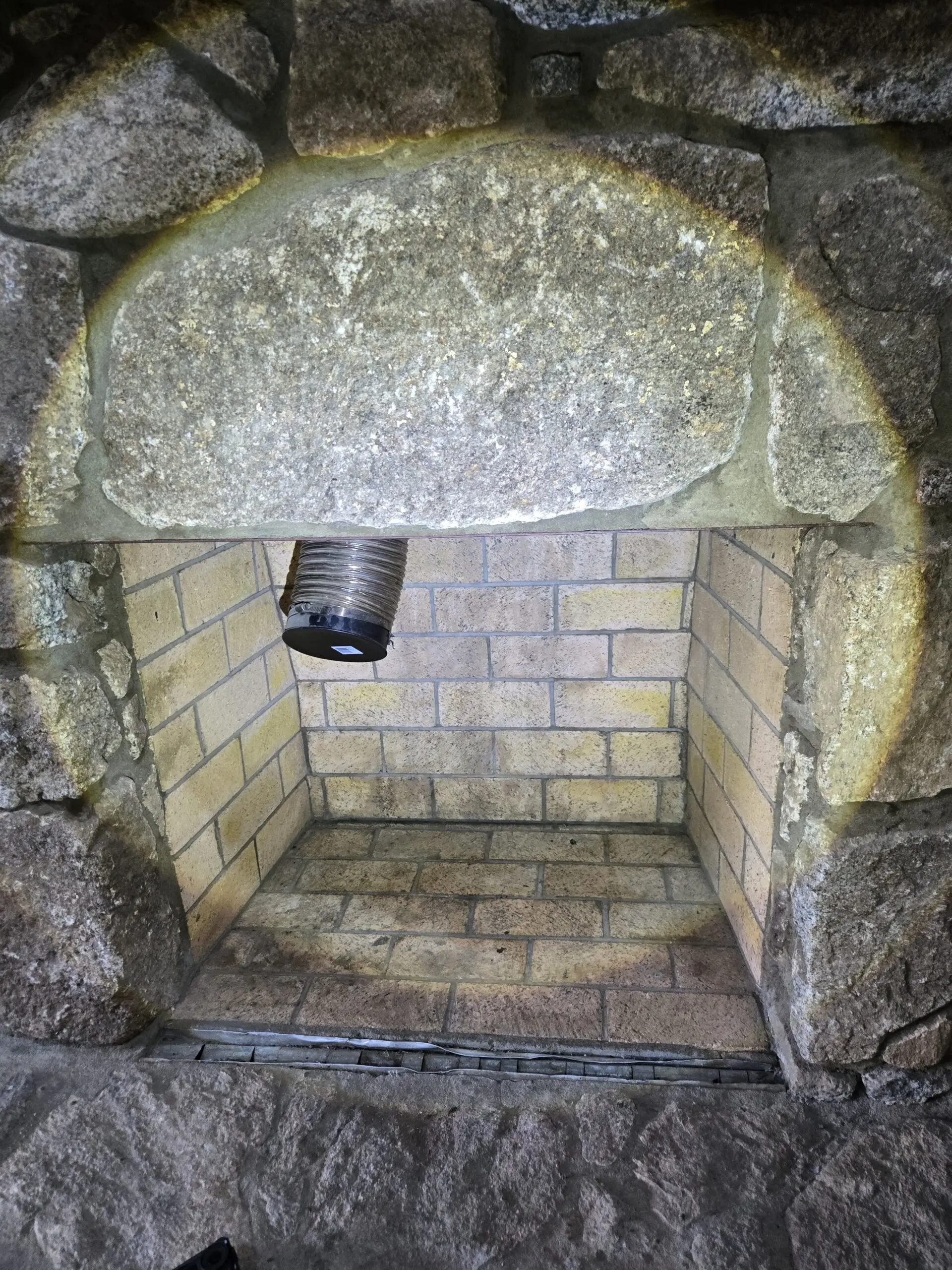 Exposed fireplace with signs of wildlife droppings