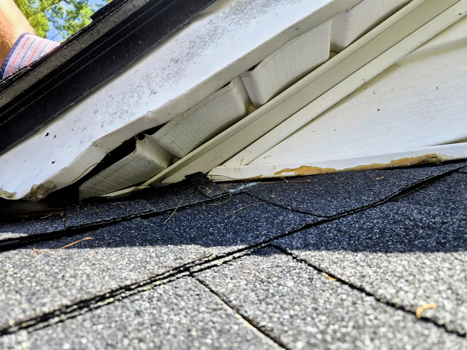 Gap in a roof intersection soffit return allowing wildlife entry
